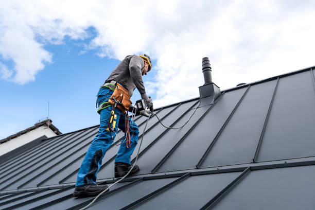 Best Steel Roofing  in Lopezville, TX